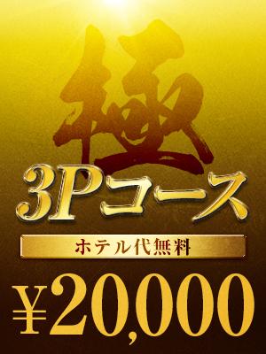 �ɁE3P�R�[�X�@�z�e���㖳�� �摜1