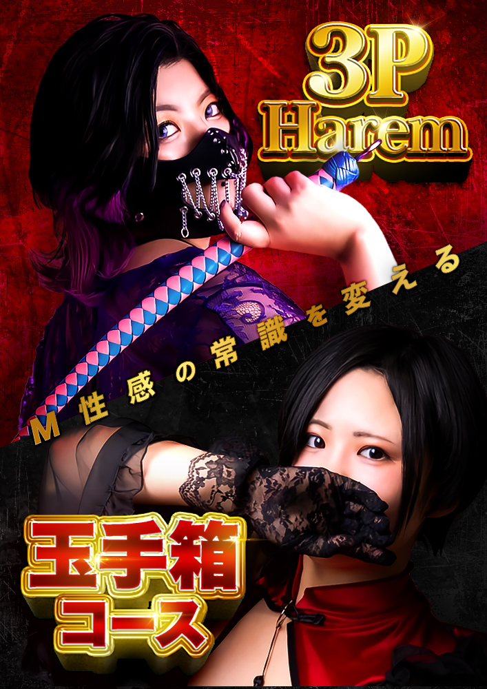 �ʎ蔠M�����RP�R�[�X �摜2